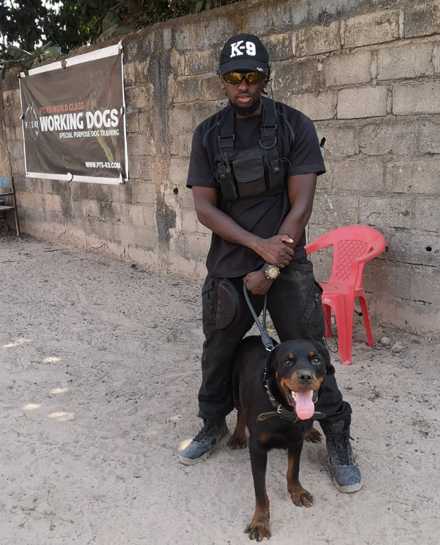 Elite store canine training