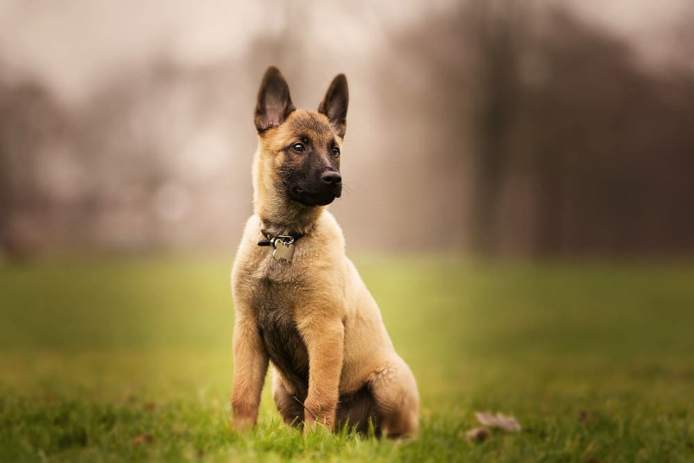 hero-img